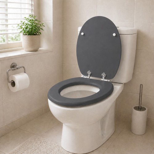 Family toilet seat - toilet, close