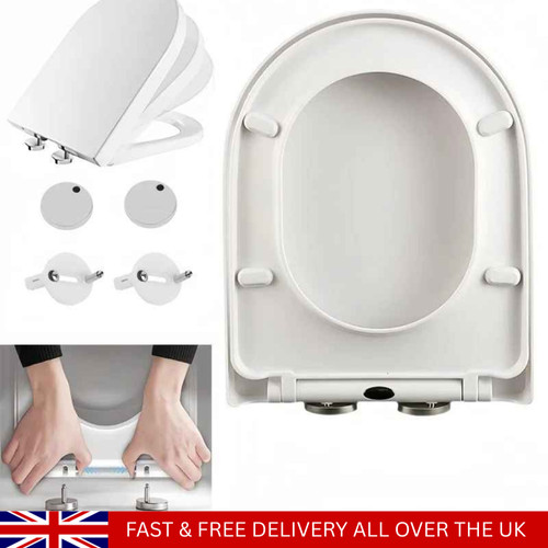 Luxury shape toilet seat - d-shape,