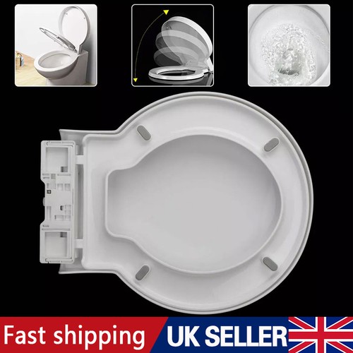 Design toilet seat round - toilet,