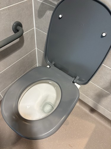 Akw grey oval plastic toilet - grey,