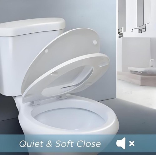 Quick release toilet - toilet, seat
