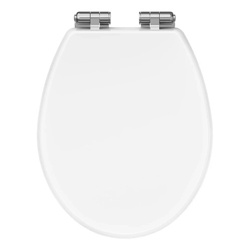 Premium traditional toilet - traditional,