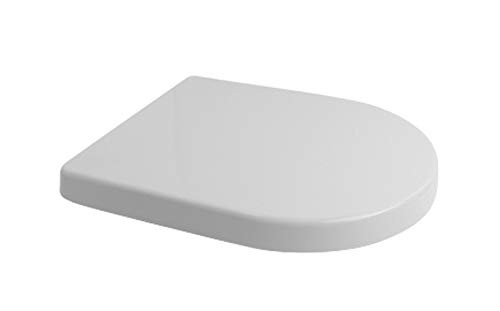 Bathroom toilet seat shape - toilet,