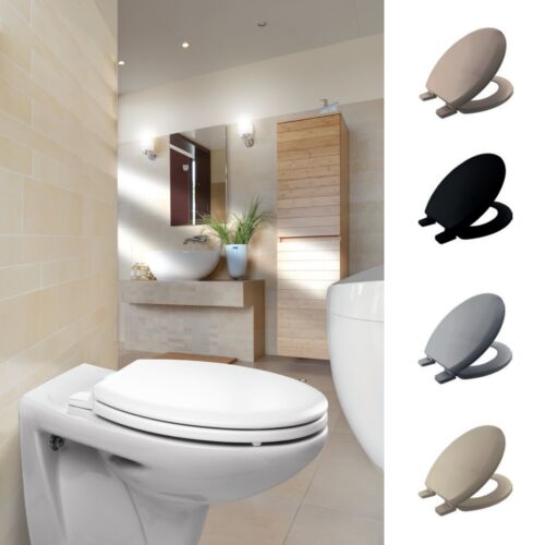 Bemis toilet seat - toilet,